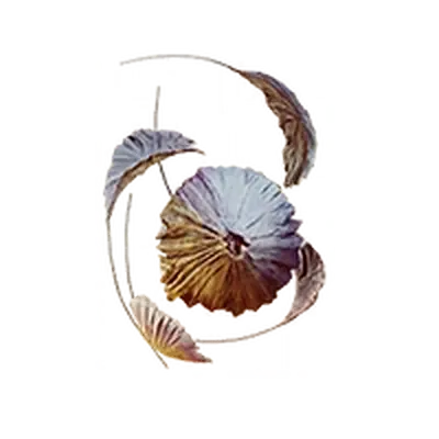 Битый камень